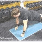 Body Transformation Exercises - Planks