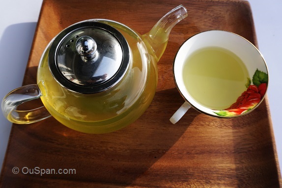 Brewing Green Tea Correctly